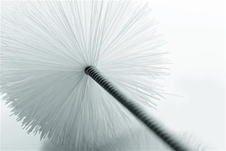 Mount Joy Wire